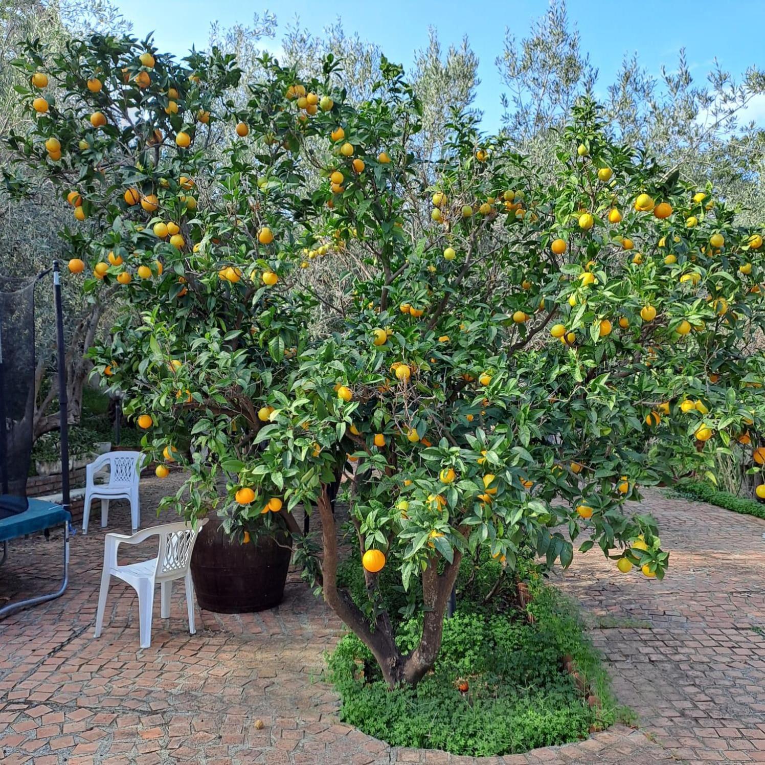 Villa Gatto Rometta Marea Ngoại thất bức ảnh