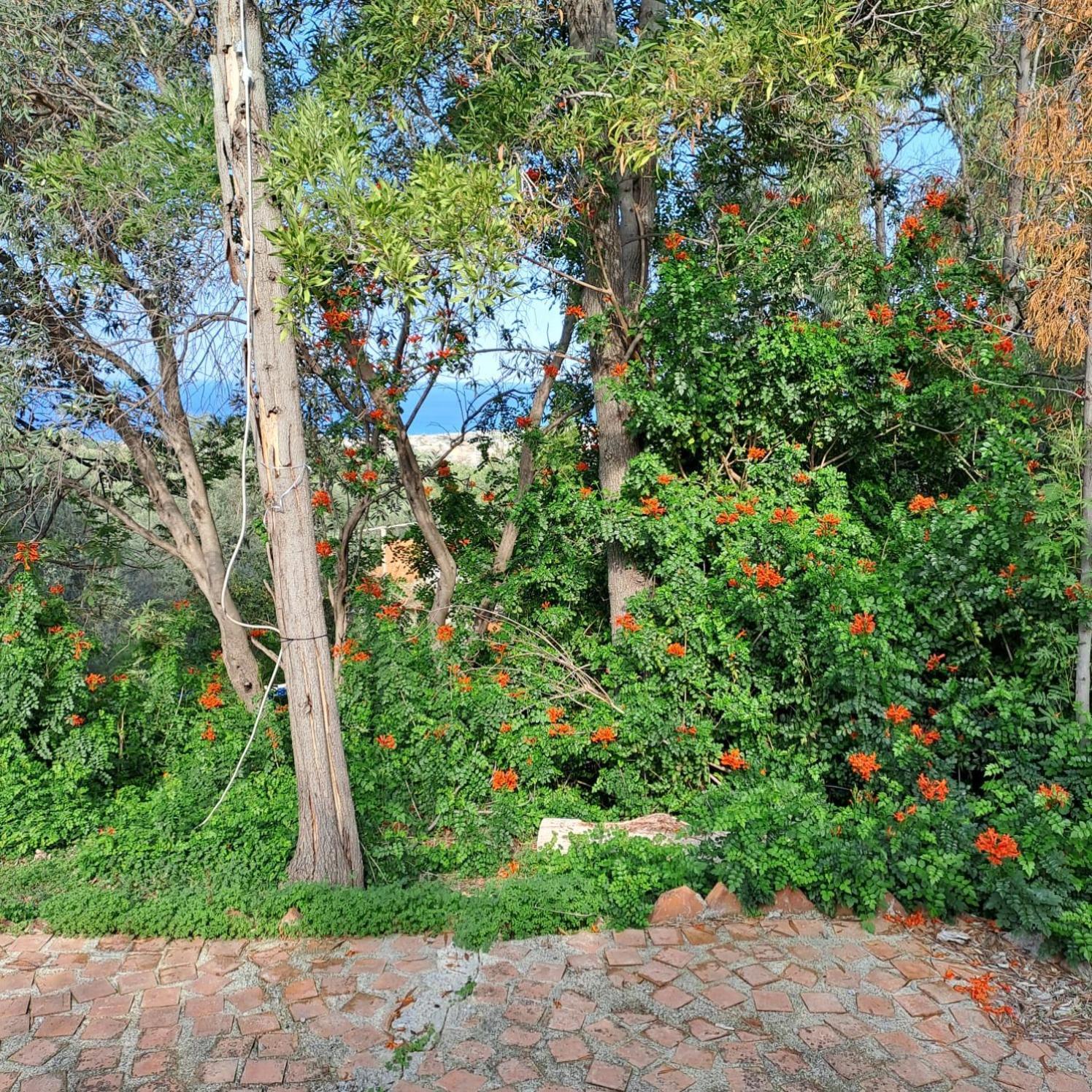 Villa Gatto Rometta Marea Ngoại thất bức ảnh
